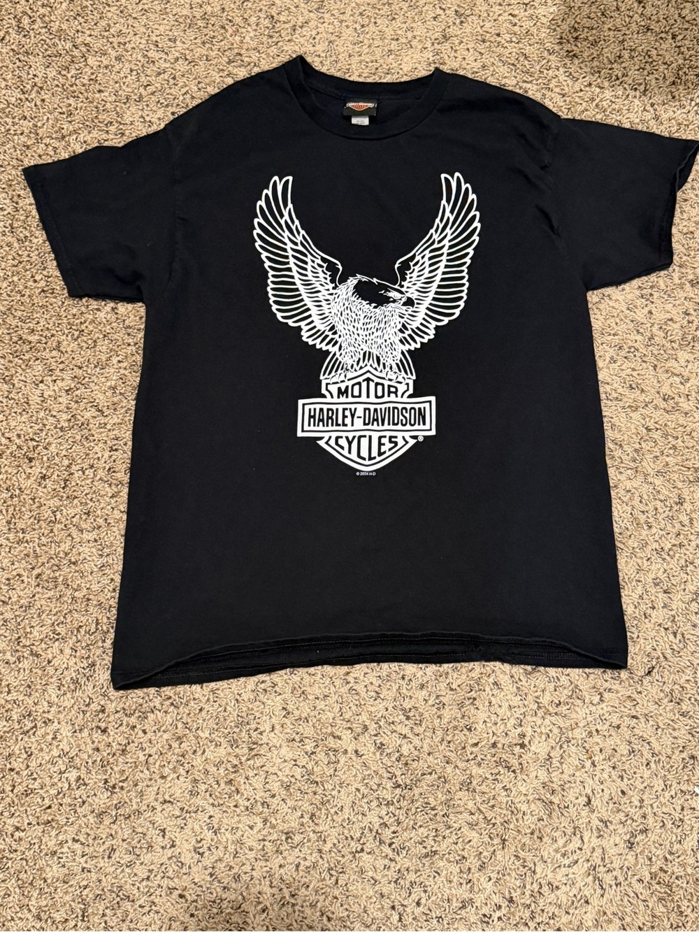 Harley-Davidson